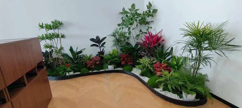 花艺设计公司的新趋势与变革