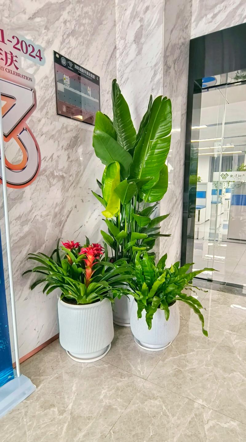 南京花卉批发